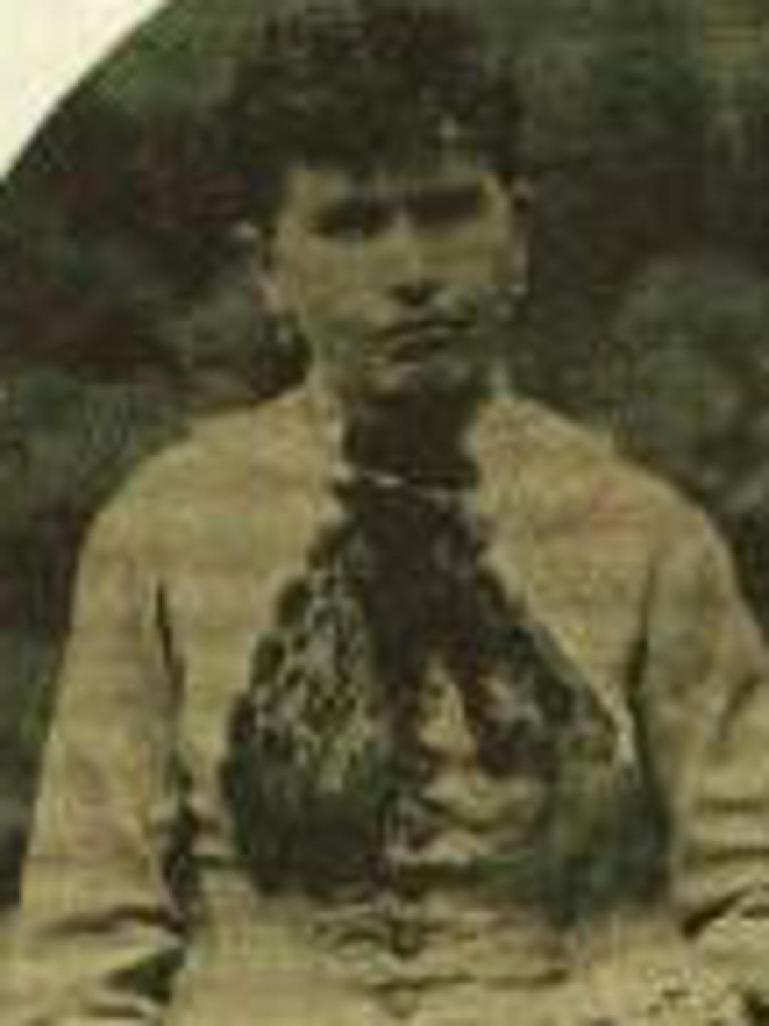 Emily Marilla Hopkins (1837 - 1917) Profile